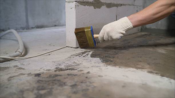24/7 Emergency Crawl Space Encapsulation experts in Ridgewood, NJ